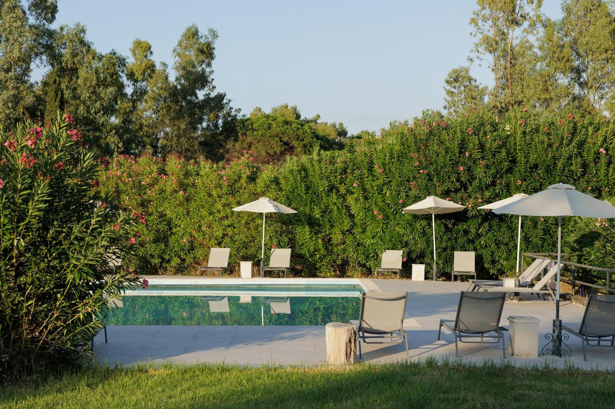 Nafsika Hotel - Adults Only Dassia  Exterior photo
